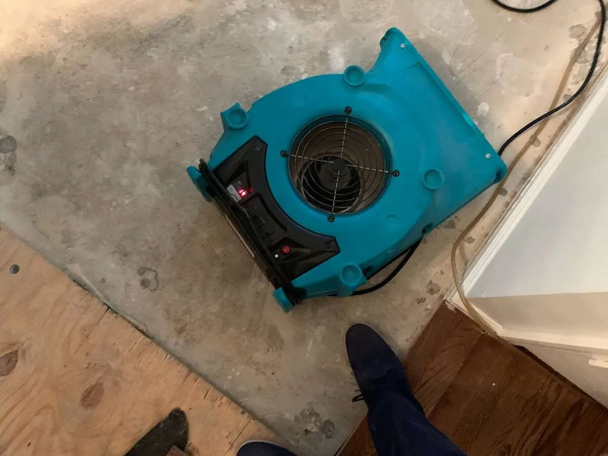 Air mover drying subfloor during Commercial Water Damage Restoration in Winter Gardens