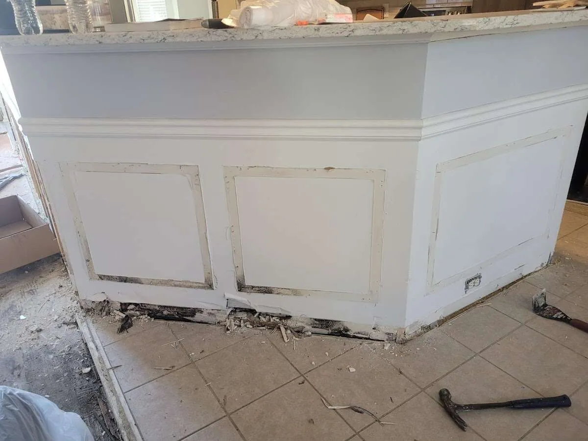 Water damage and mold on kitchen during Sewage Cleanup & Sanitation in Winter Gardens